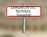 Diagnostic Termite AC Environnement  à Sélestat